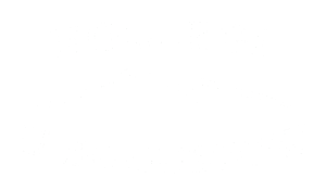 logo noclegi u boguszow white
